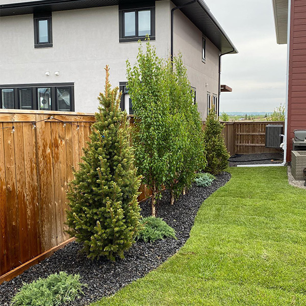 fence, trees, sod, landscaping